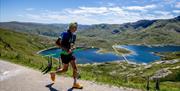 XTERRA Snowdonia Trail Eryri Marathon
