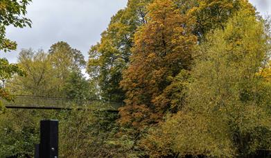 Dolerw Park - Autumn Colours