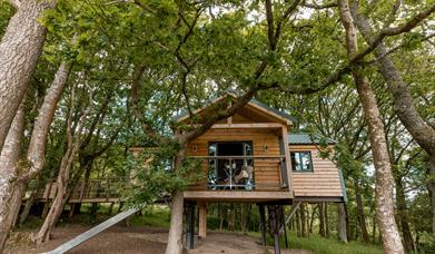 Ty Coedwig Treehouse in Powys - Luxury glamping in Wales with Unique Hideaways