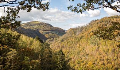 Rheidol Valley