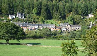 Dinas Mawddwy