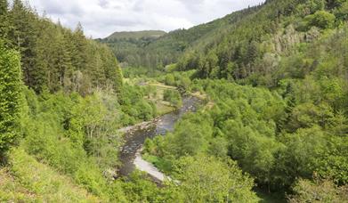 Afon Ystwyth 