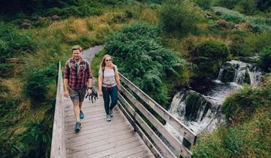 Hafren Forest | Source of the Severn Trail