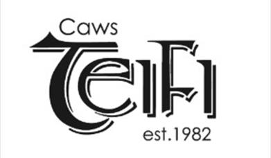 Caws Teifi Cheese