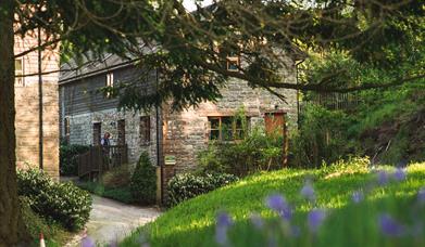 Barn End Cottage, Brandy House Farm