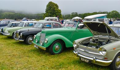 Aberaeron Vintage Show - vintage cars