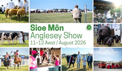 Anglesey County Show 2026