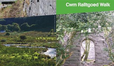 Dyfi Discovery Walk | Cwm Ralltgoed Walk