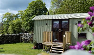 Dysynni Valley Shepherds Hut