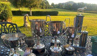 Llanfyllin Show Trophies