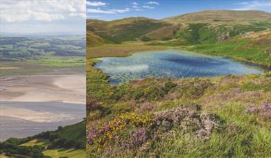 Llyn Barfog