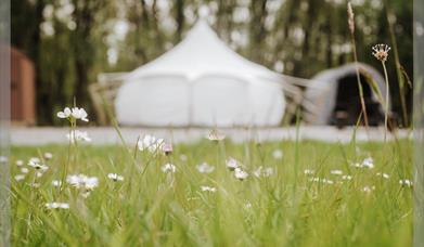 couples retreat, Lotus Belle, Near Llanidloes