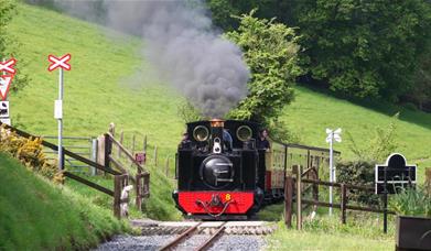 Steam Gala 2025 | Vale of Rheidol Railway