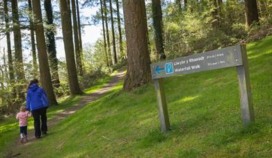 Cwm Rhaeadr Woodland