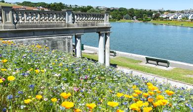 With its flower-filled borders, the gardens and lake are a great place for families to walk and picnic.  The focal point of the garden is a harp-shape