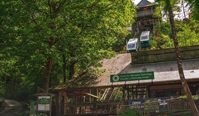 Free Summer Open Day | C.A.T.