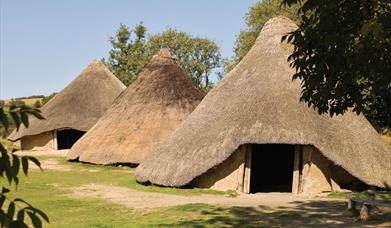 Castell Henllys Iron Age Fort