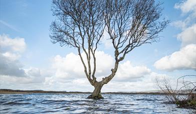 Kenfig National Nature Reserve