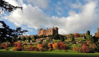 Welshpool 10k Run