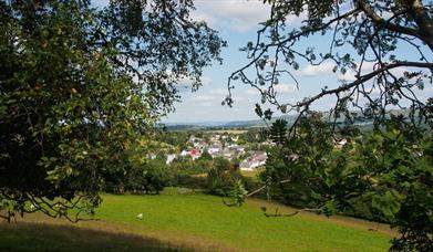 New Year Walk Guided Walk - Green Events Llanwrtyd Wells