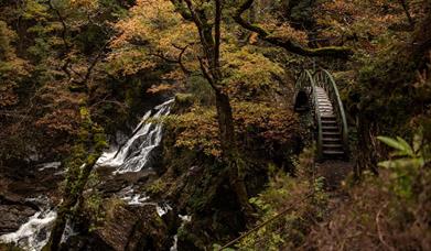 Devil's Bridge | Nature Trail Walk