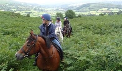 Ellesmere Riding Centre