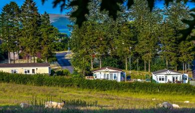 Llewelyn Leisure Park
