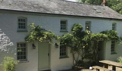 Tyn Y Coed