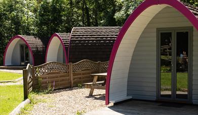 Cwmcarn Forest Glamping & Campsite
