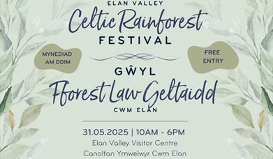 Graphic that says 'Celtic Rainforest Festival'