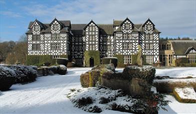 Festive Afternoon Tea @ Gregynog