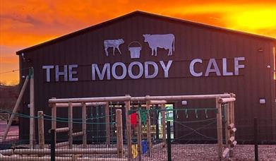 Bargoed Farm | Moody Calf Play Barn