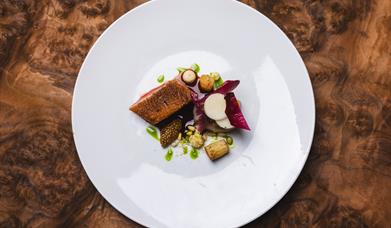 The Gunroom Restaurant, as featured in The Michelin Guide, winner of Best Place to Eat 2025 a the Visit Wales National Awards