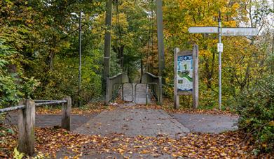 Plas Dolerw | Bridge over the River Severn to Dolerw Park