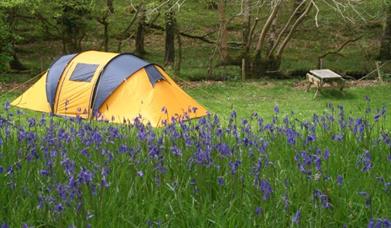 Dinas Camping