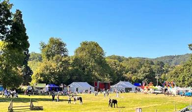 Guilsfield Show
