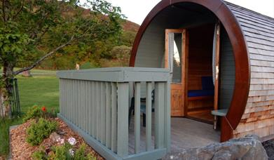 Gypsy Pod @ Woodlands Caravan Park