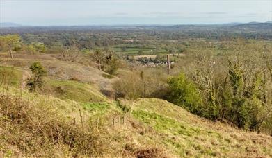 Llanymynech Rocks Nature Reserve NRW