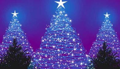 Machynlleth Christmas Tree Lighting Ceremony