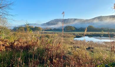 RSPB Ynys-hir