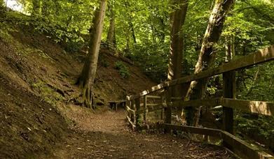 Abermule and Bettws Cedewain (Cycle Route)