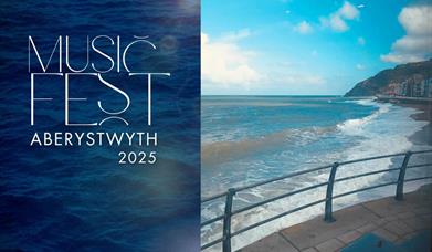 Gwyl 'Musicfest 25'