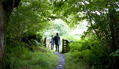Woodland Walk