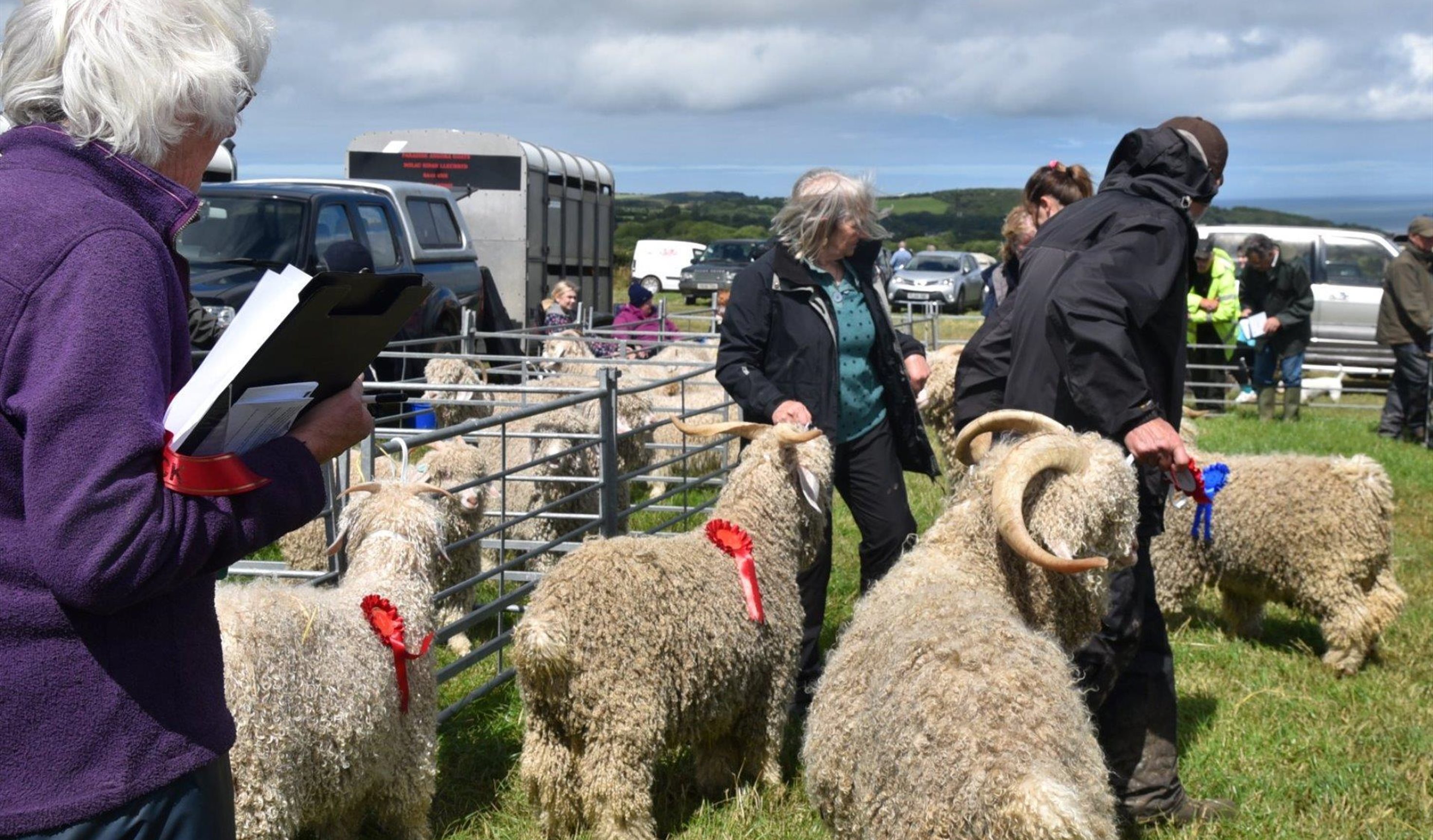 Cardigan County Show