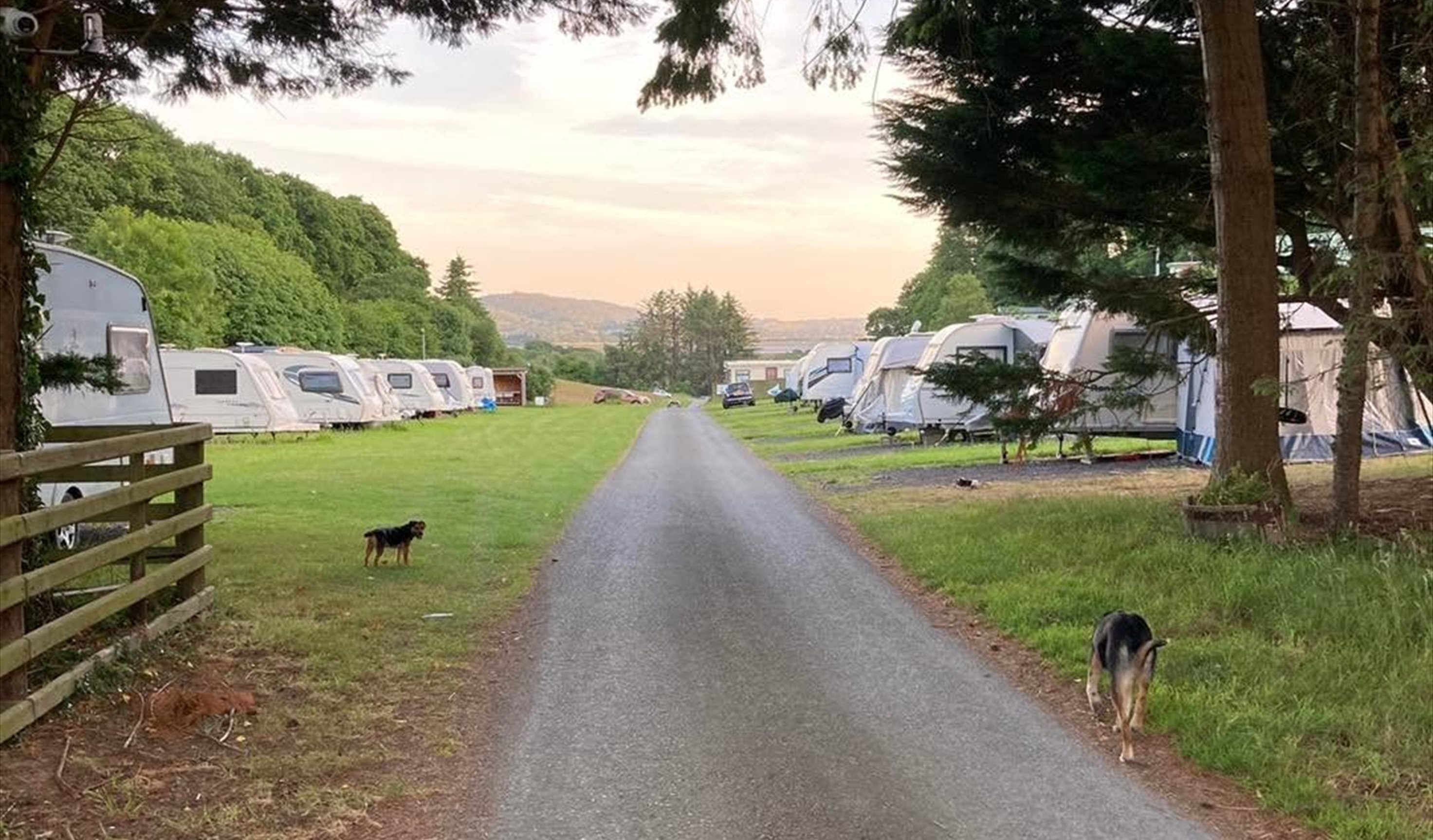 Gated entrance to touring pitches, showing dog friendly atmosphere