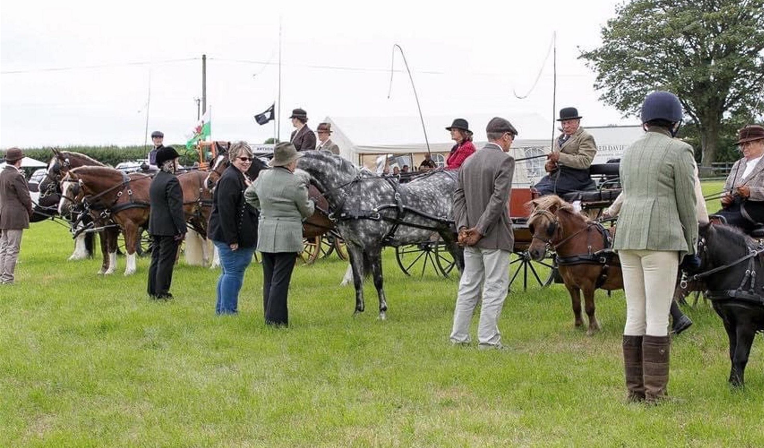 Tivyside Agricultural Show