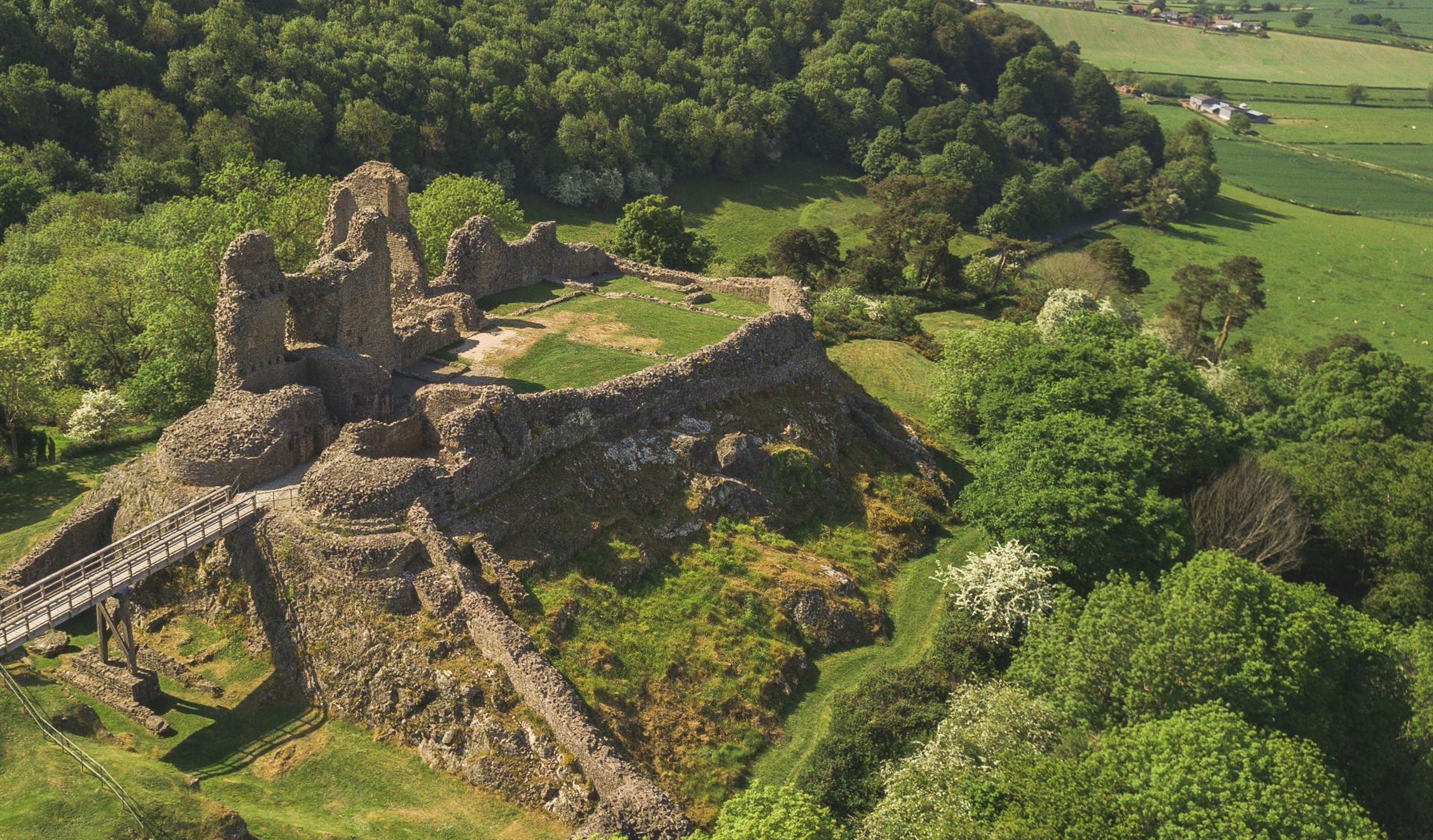 Montgomery Castle
