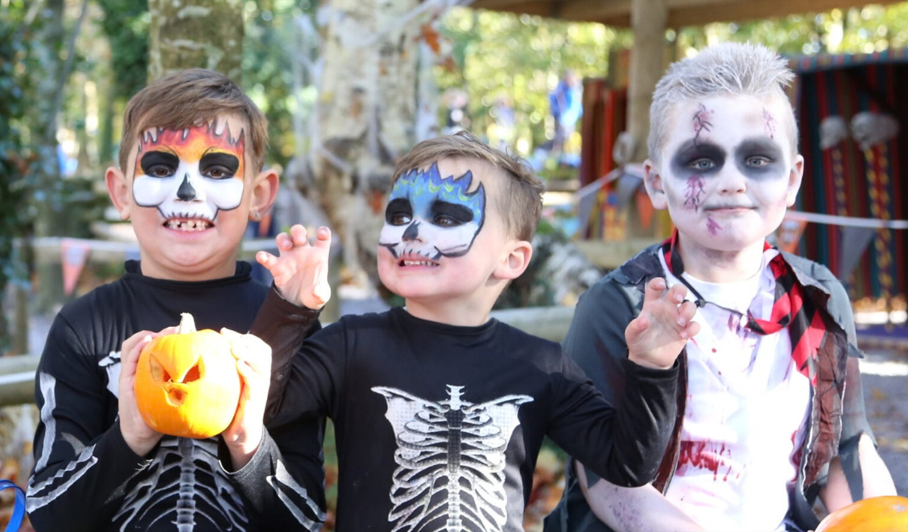 3 children wearing Halloween costumes