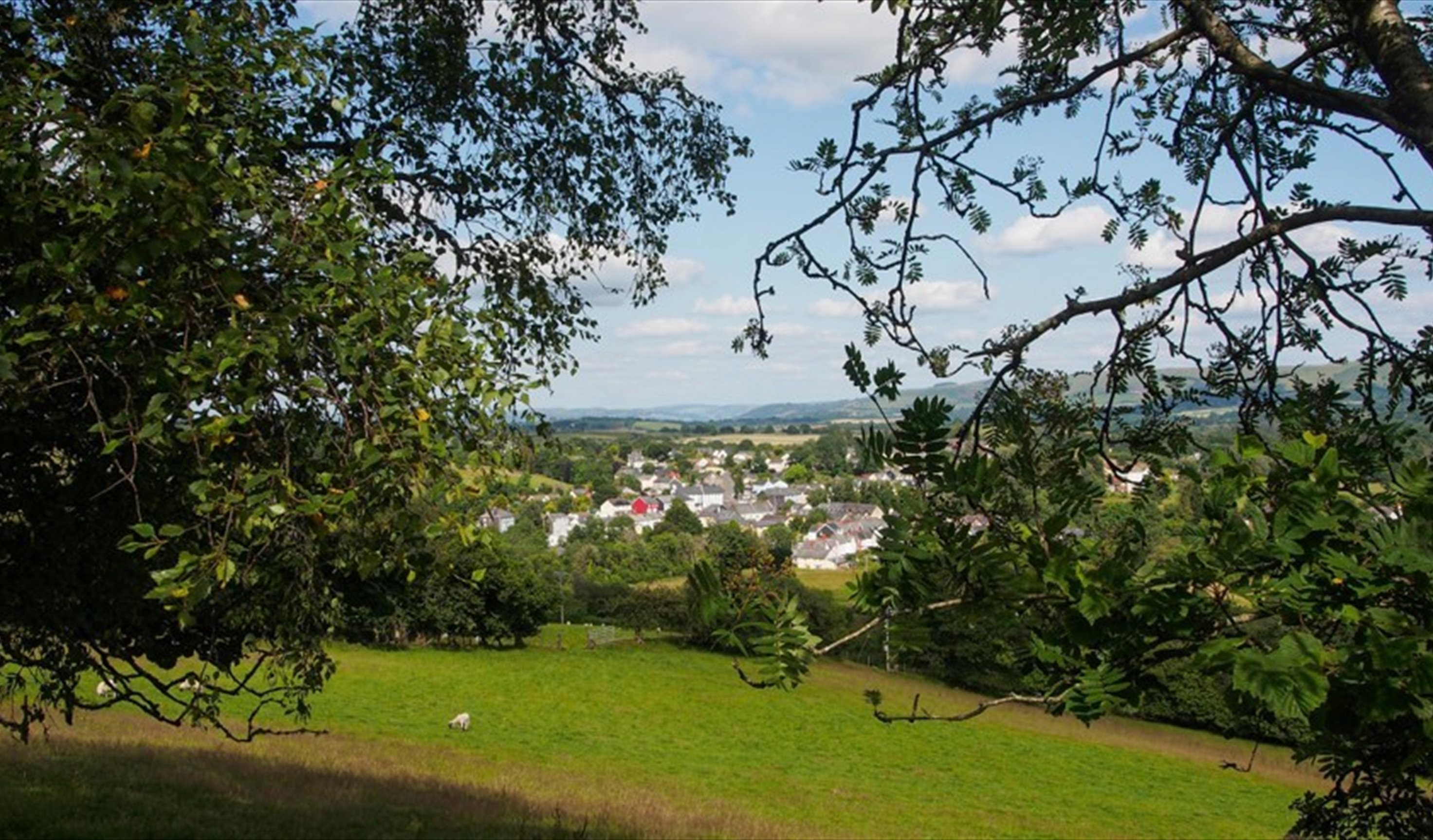 New Year Walk Guided Walk - Green Events Llanwrtyd Wells