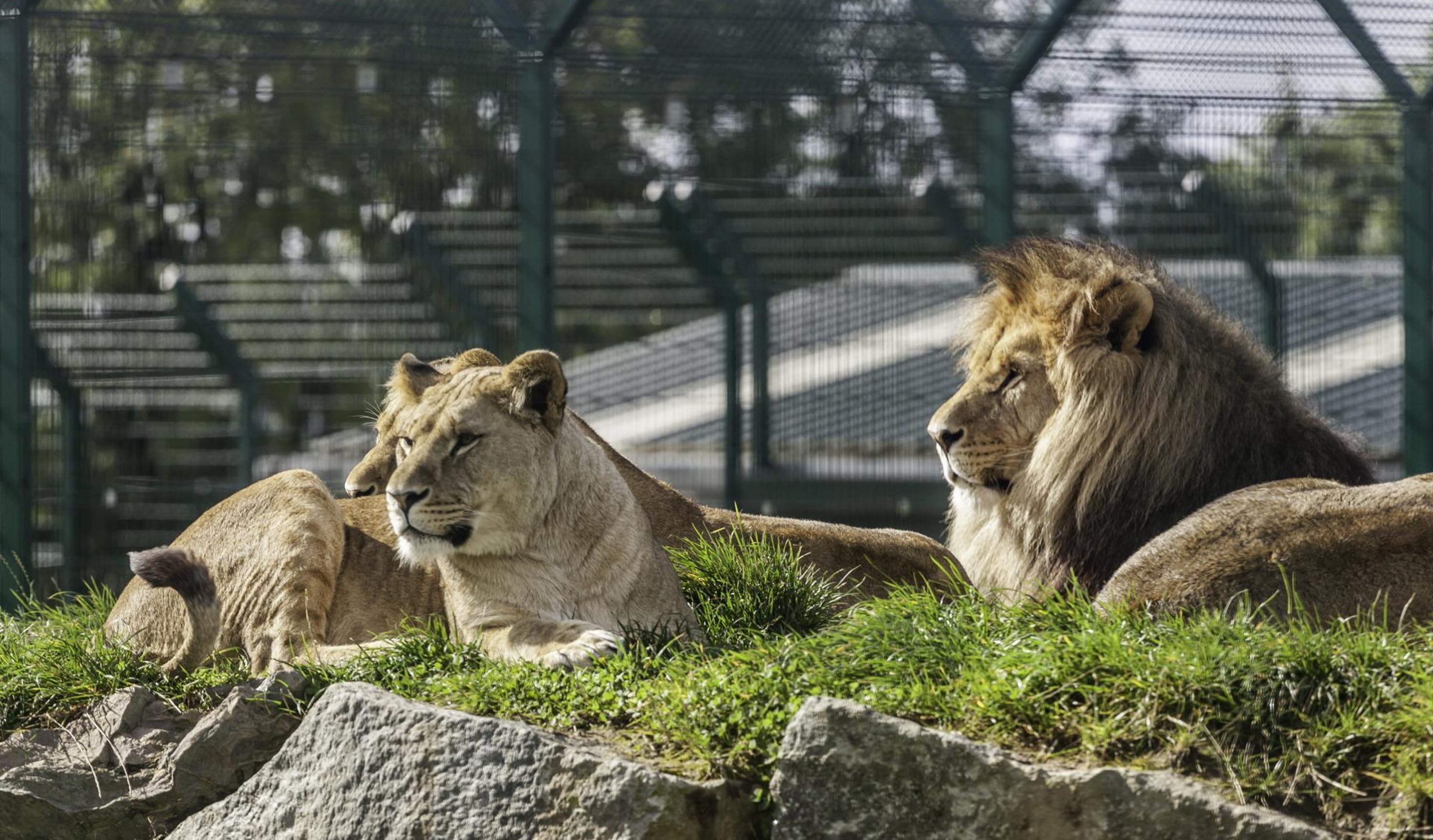 Folly Farm Adventure Park and Zoo